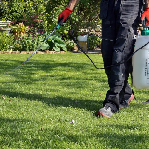 Fertilizer and Weed Control Services 